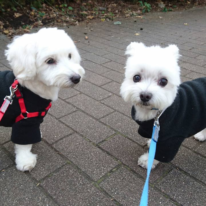 75c27809 7ca9 4f14 a1ec 9aefaa6e0574