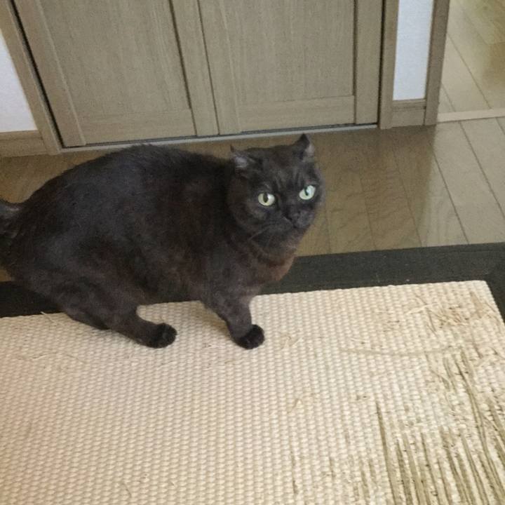 75c2c781 eed7 4f43 8349 025604063b6d