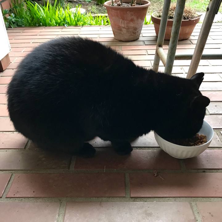 75c3219d a256 4a52 bcd8 f713490eaaac