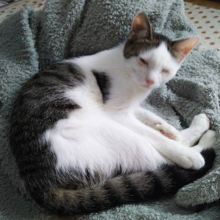 75c32b00 45b2 4dd2 9a9d dc4570adbfcd