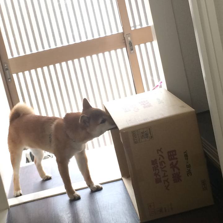 75c36d35 0444 4921 922f 6456aa3be2d7