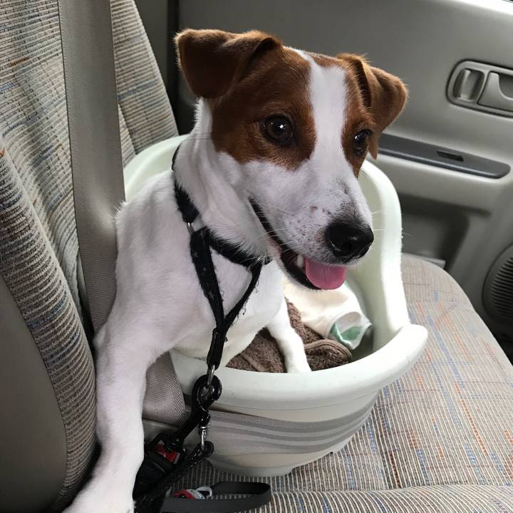 75c452b8 10f0 402e 8c7c 47a23b3d768e