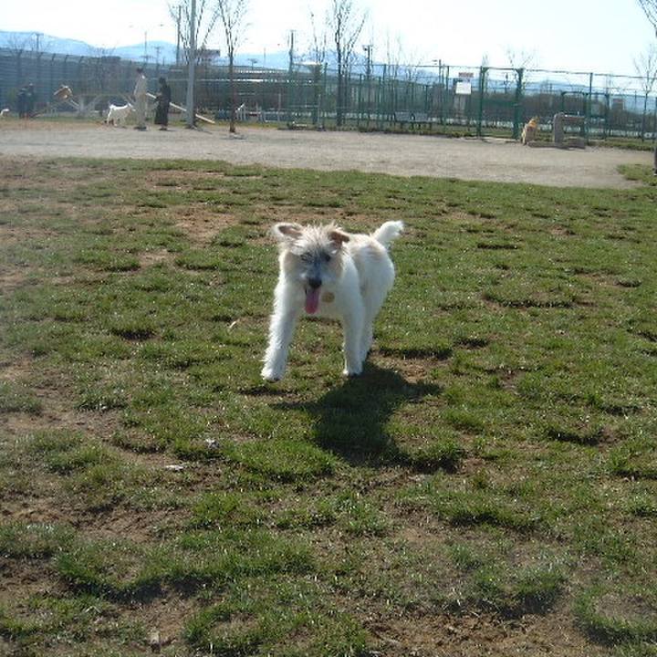 75c4609c ca68 4930 be62 2d34fd535295