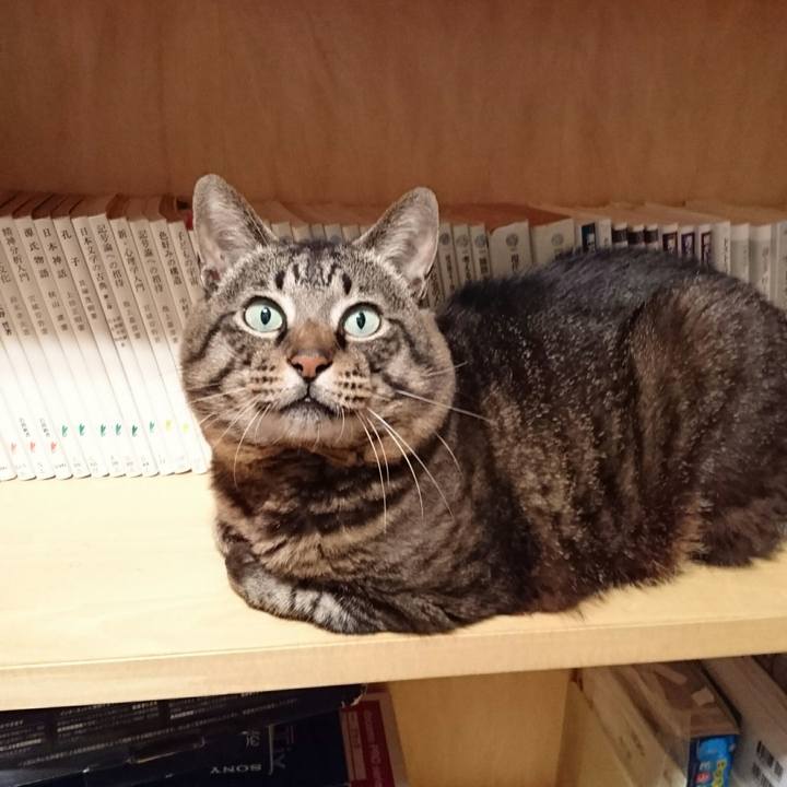 75c59093 3771 4ced aaea e47c669d8e6f