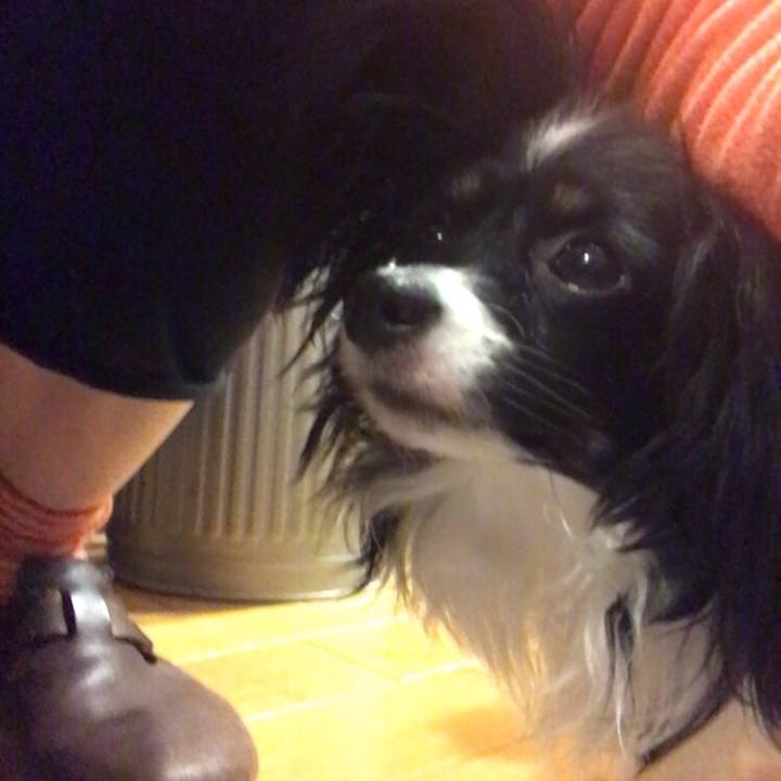 75c5dde8 8321 4b70 9471 35e517a945d7