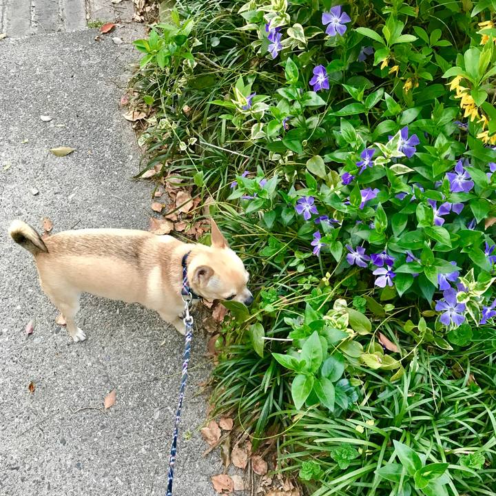 75c5e462 17af 4f31 aab9 bce61ae577d4