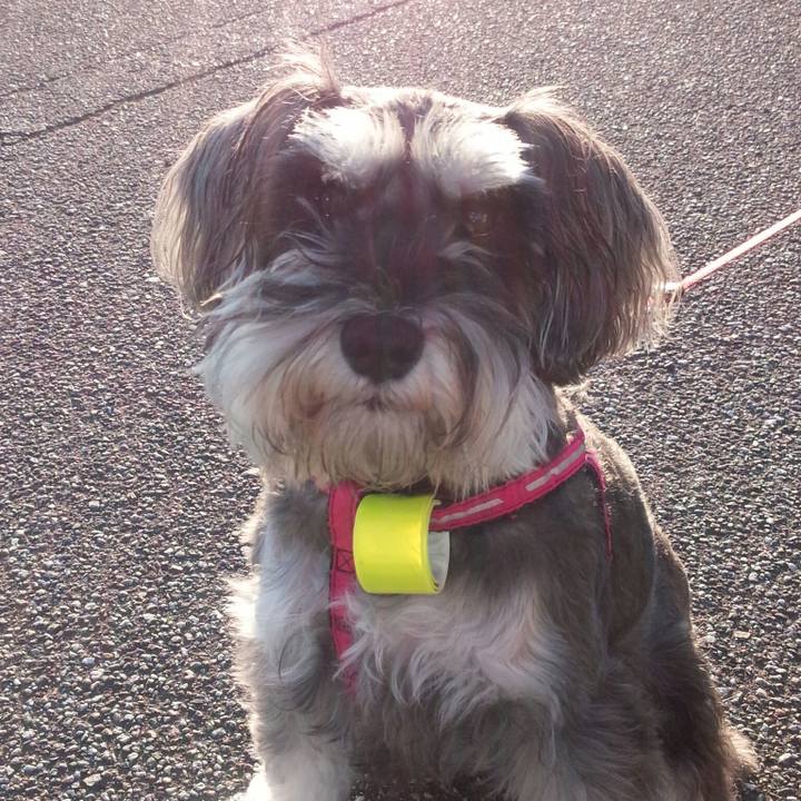 75c63bbb 7037 45f6 9736 3705d5e5801c