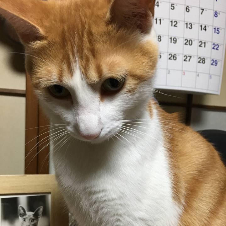 75c65ffa 6505 4b59 97b8 252f739d8a52