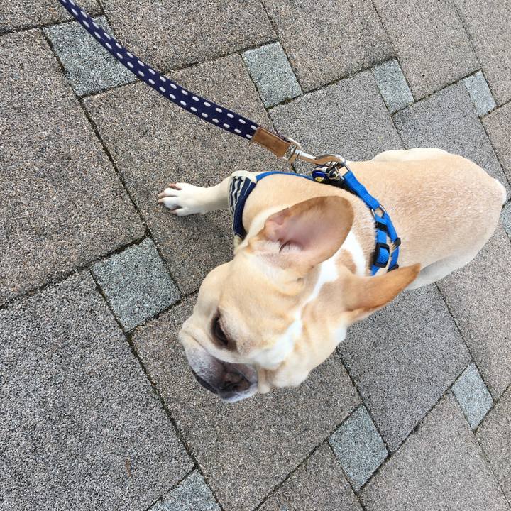 75c67bf6 950e 4620 aa69 26dc5539fb95