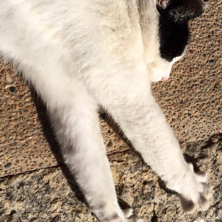 75c70a83 cace 4bbe bd29 24ce047b5488