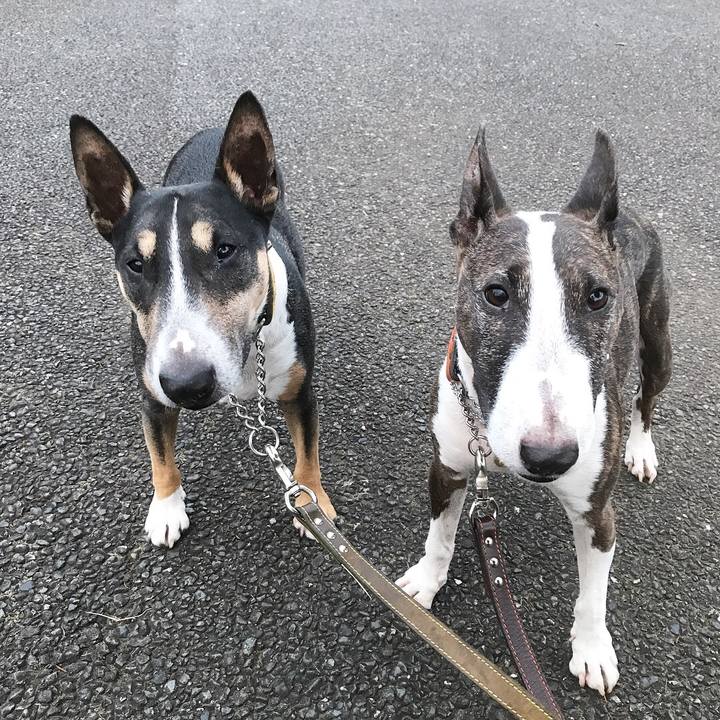 75c73da9 d52d 4501 bc1f a634e5a161b0