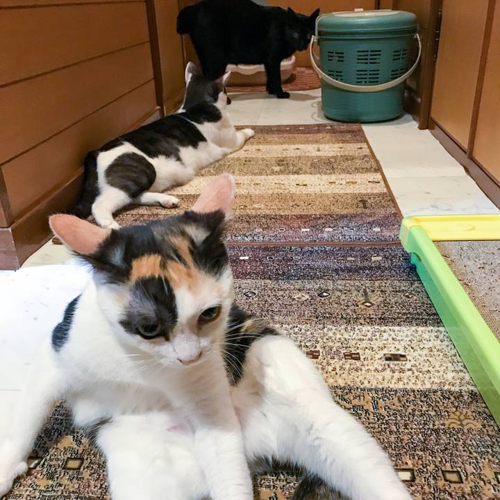 75c7f10a 89f9 4954 9397 6ecd22024813