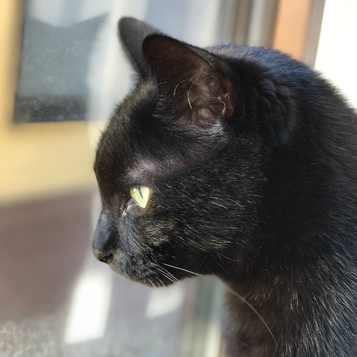 75c87479 9474 4b3c 949d aac9b71765d0