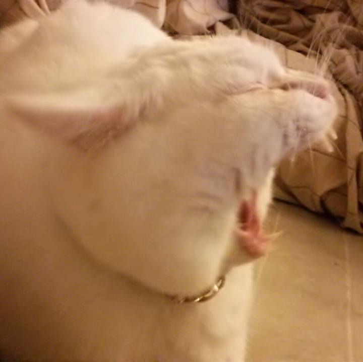 75c877a5 bc63 4cf7 ae52 6475328e1a16