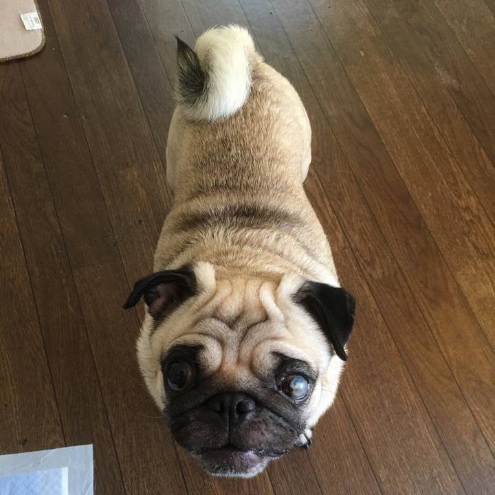 75c8ab39 d4e3 42f2 b40d 690290700110