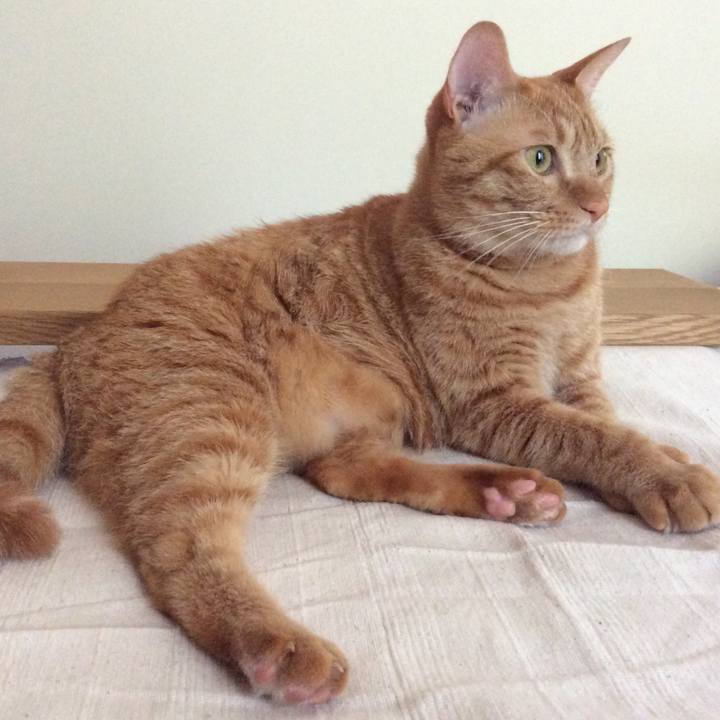 75c9392c b6b1 4366 be14 ca3633d22f6b