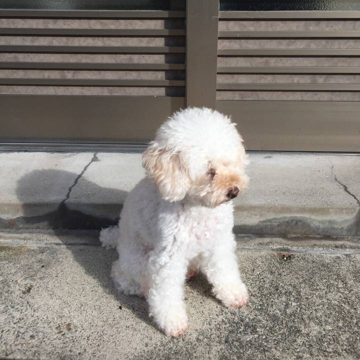 75c99987 5cfc 4dc9 a910 dae4f847b31e