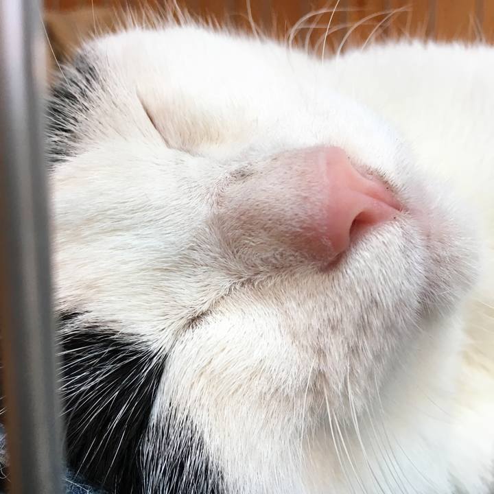 75ca0e33 c219 42a8 a20a b3e9f7fa079f