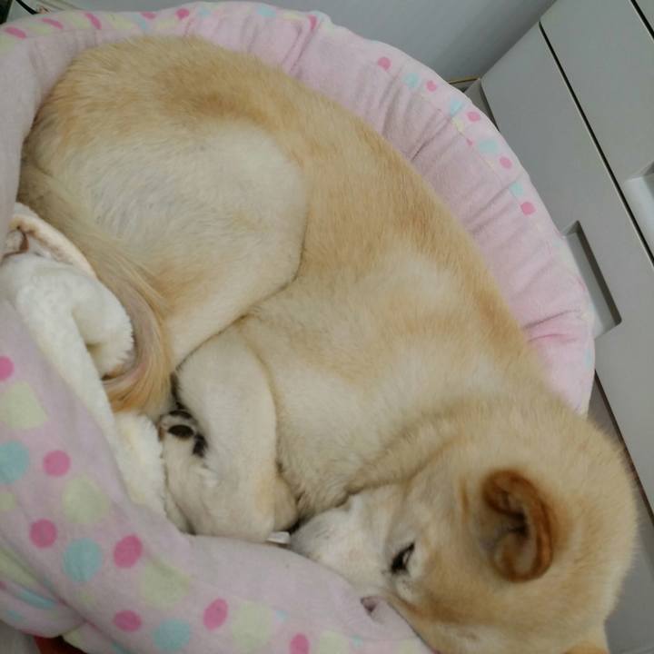 75cad62e bd9f 4cdb 8984 db673949a028