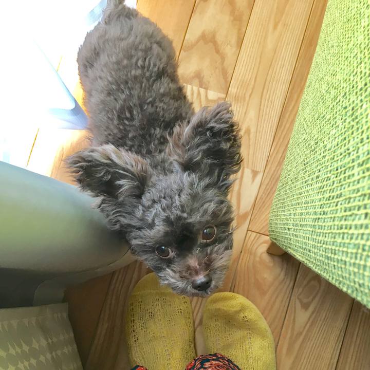 75cb594e 67d0 4e7e b0bb dc216f869841