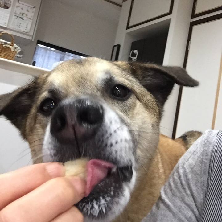 75cb9fdf 86f9 408e 95ce c046b12e9064