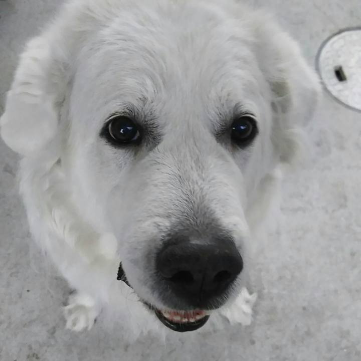 75cbd6c8 6ab2 47b7 a54d d6629026c3bf