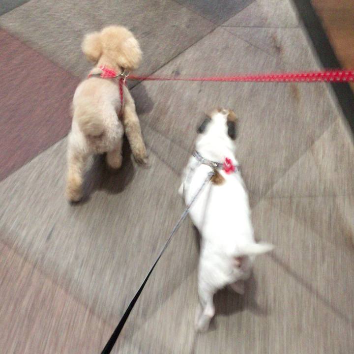 75cc5141 a6b7 4071 89a3 e27db7be7f9b