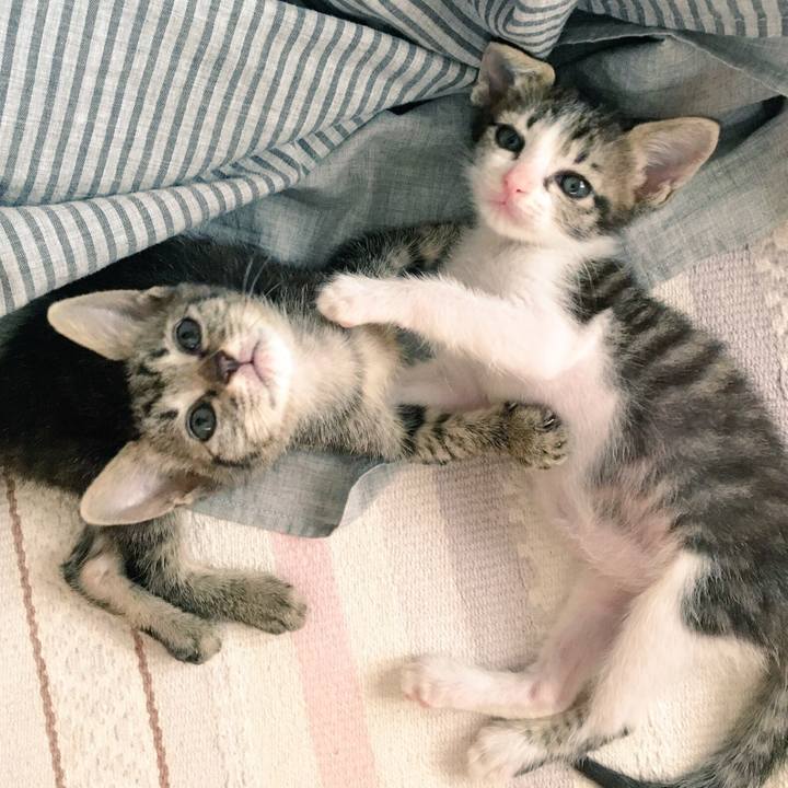 75cd450a 42b5 4810 a4b1 cea3b5f3b951