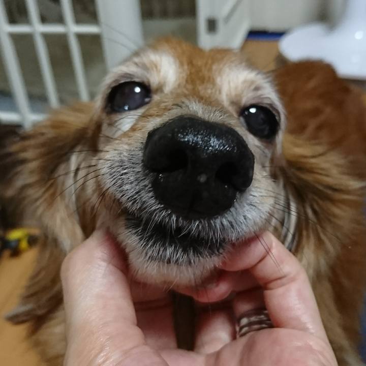 75cd689c 5cd5 4b2c a030 202468a84d0c