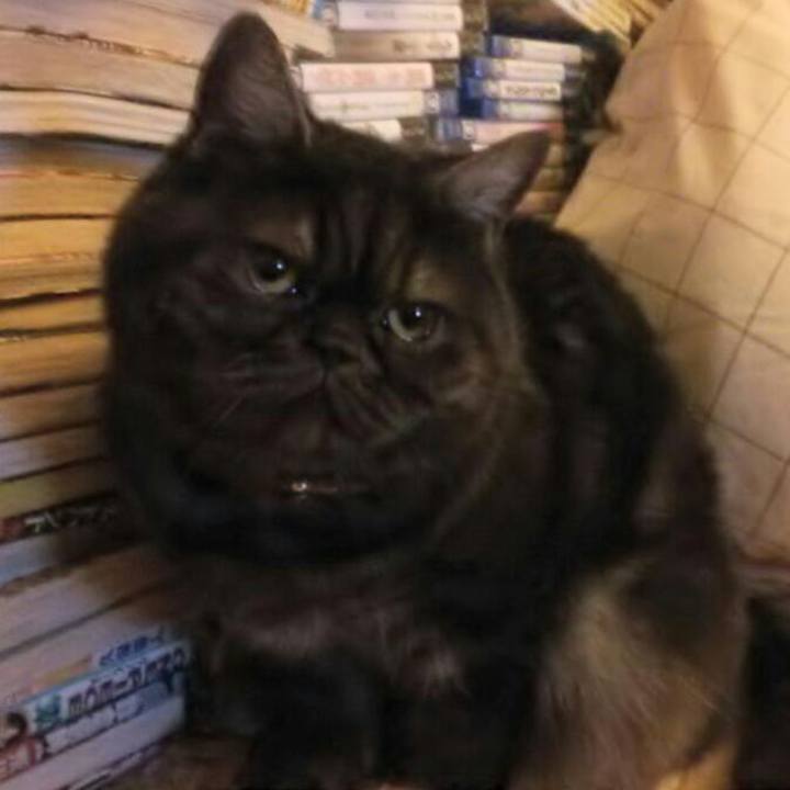 75cdcc1d c766 4253 ab0e ec726f73d53b