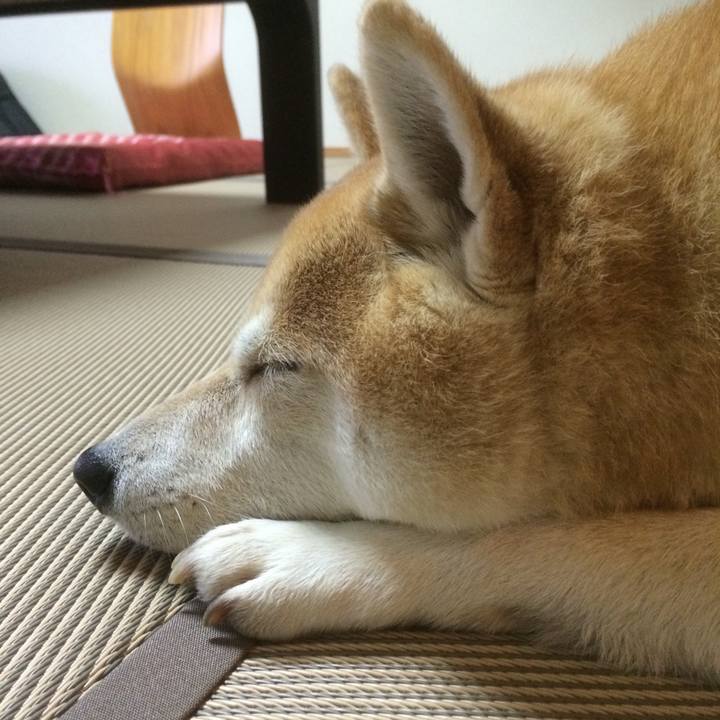 75ce38c6 75ff 403c acda b9bdb8fc9caa