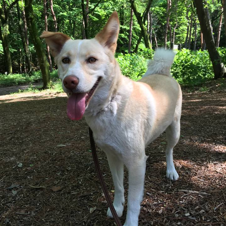 75ce4c6f 9fbc 43b6 9fb4 d7b537db636c