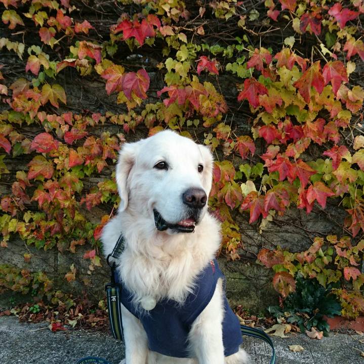 75ced46e 158f 48b7 bf73 c1dde95637e1