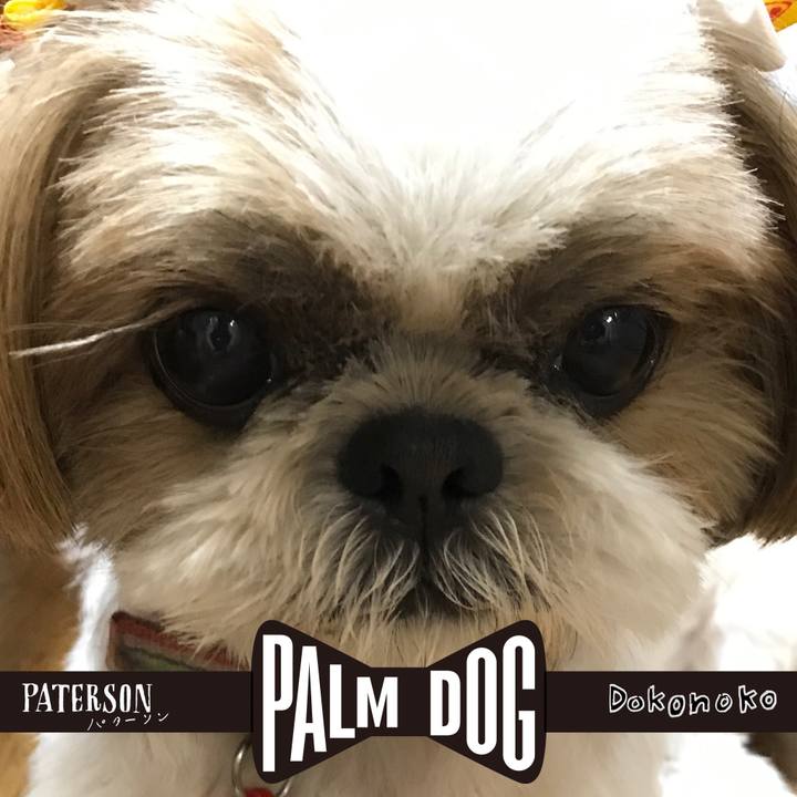 75cf56ce bcd5 446f a7e5 a6ce49acfff5