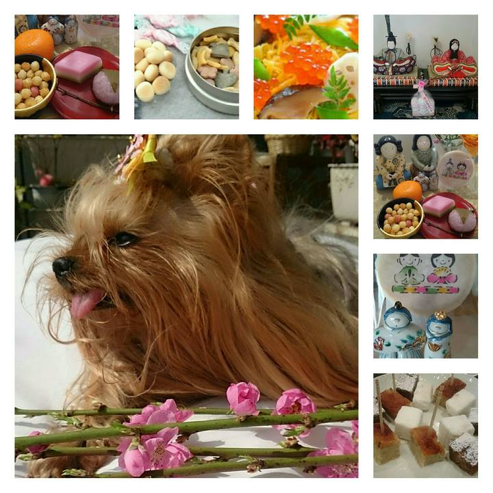 75cf608c 960f 4892 9c04 14efed2b3e96