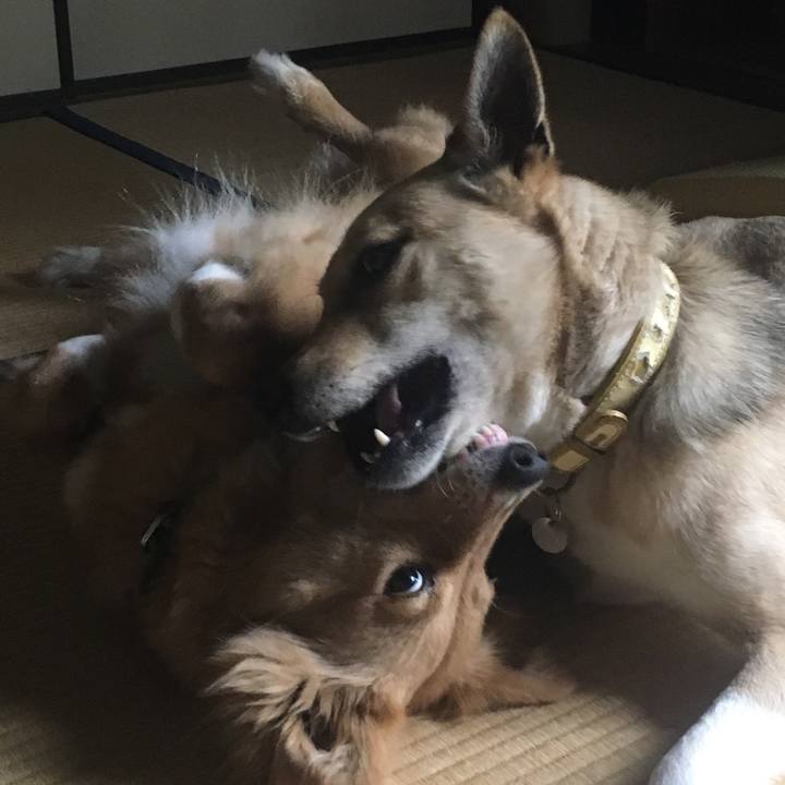 75d0278b 4bd4 4a0f 9358 da9a030211e2