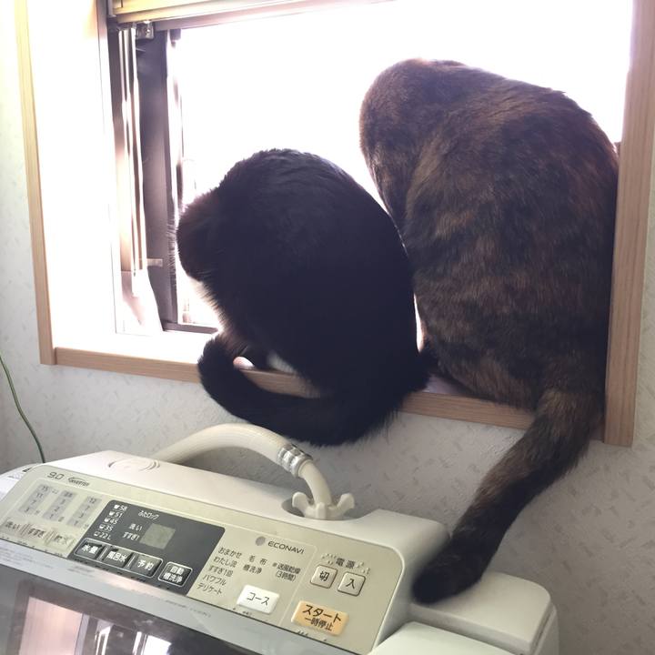 75d080db 6f06 458d b9ee a5e1cc4cea60