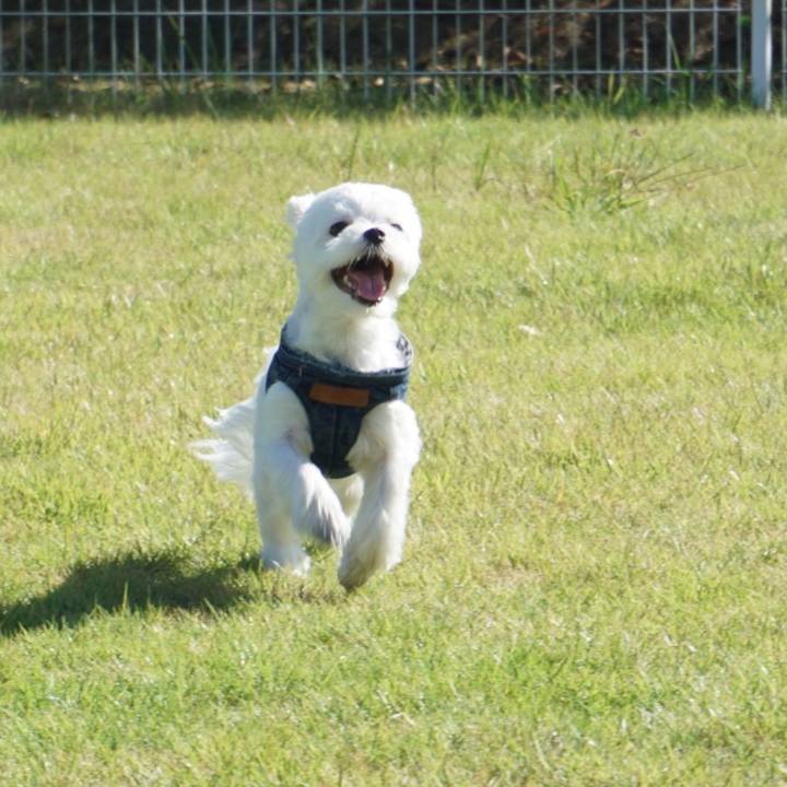 75d0b133 eeff 4abe 96c1 7dddfe55dfb1