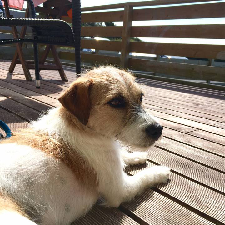 75d10948 f68d 4cdc b8ae 6dcf1e6f34b0