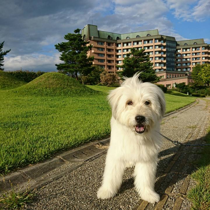 75d1187e 77ae 40de b290 92574c85b650