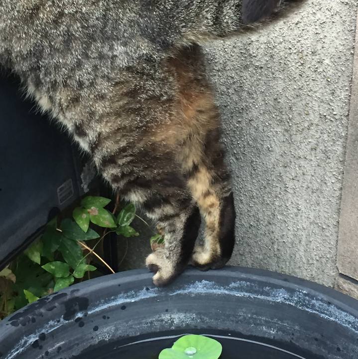 75d13bd0 7c61 4657 ae69 e2b40114a953