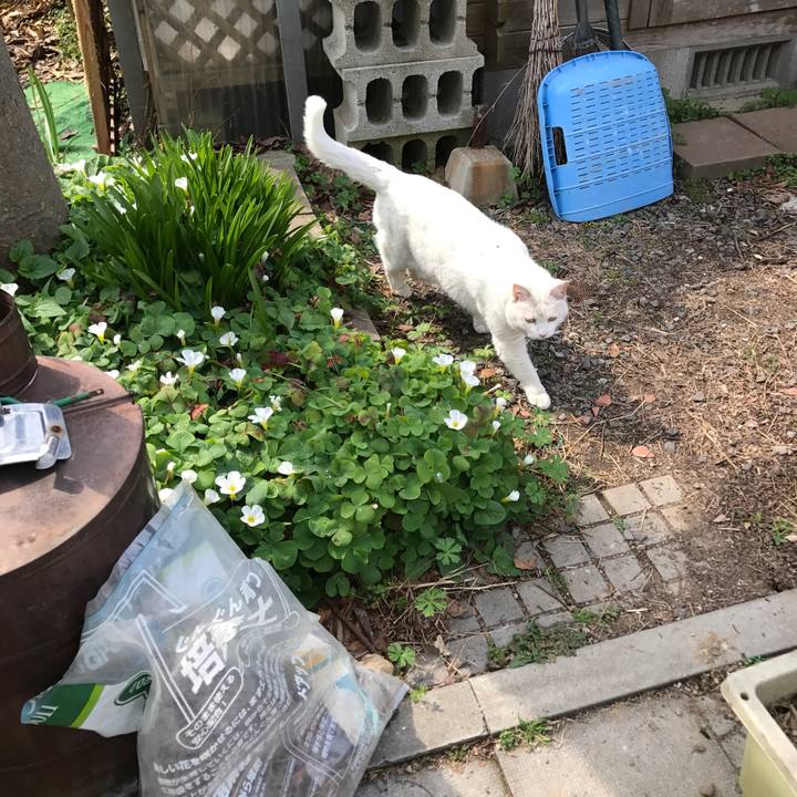 75d3b978 8d4f 4c92 bcc7 acbbfb55c415