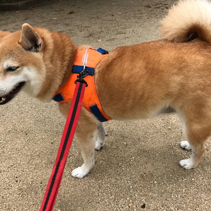 75d3dafd f7f3 4711 9b2f af27d149b72d