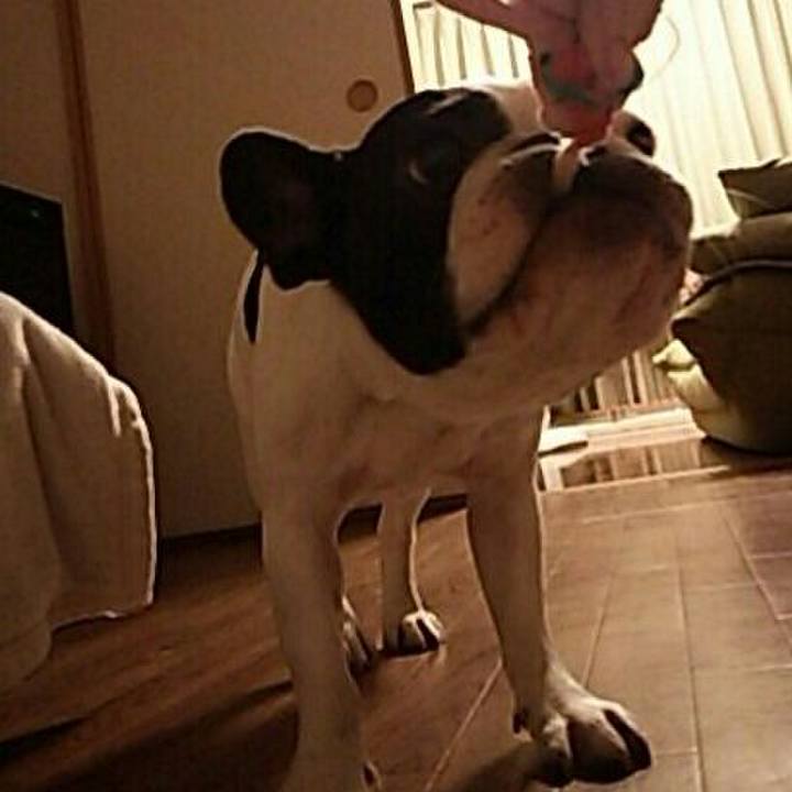 75d40cbe a89d 4460 bdad 0302d81f3eab