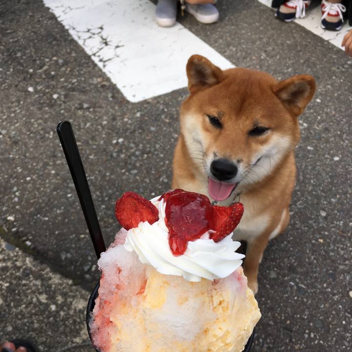 75d40df7 fe41 4e46 98b7 091579b4c5a1