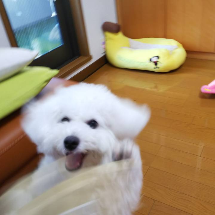 75d458e9 3a22 4ea0 be32 fc6f204a9c7f