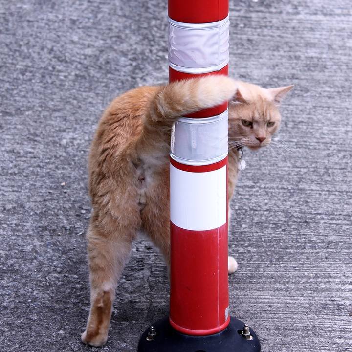 75d50f7b f1d2 40c7 bb65 a0c33b90711a