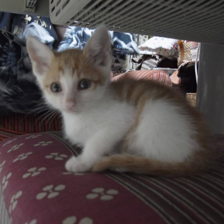 75d539eb 500d 4812 b17d bcd602831f17