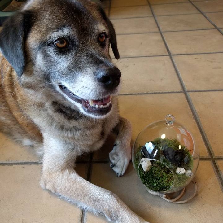 75d5b27c aa8f 4dab 8c43 76e98987f3f9