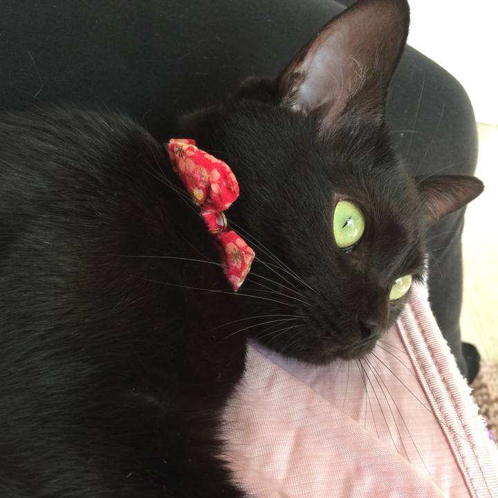 75d5f2bd df1a 4714 8410 3bc0c2e42197